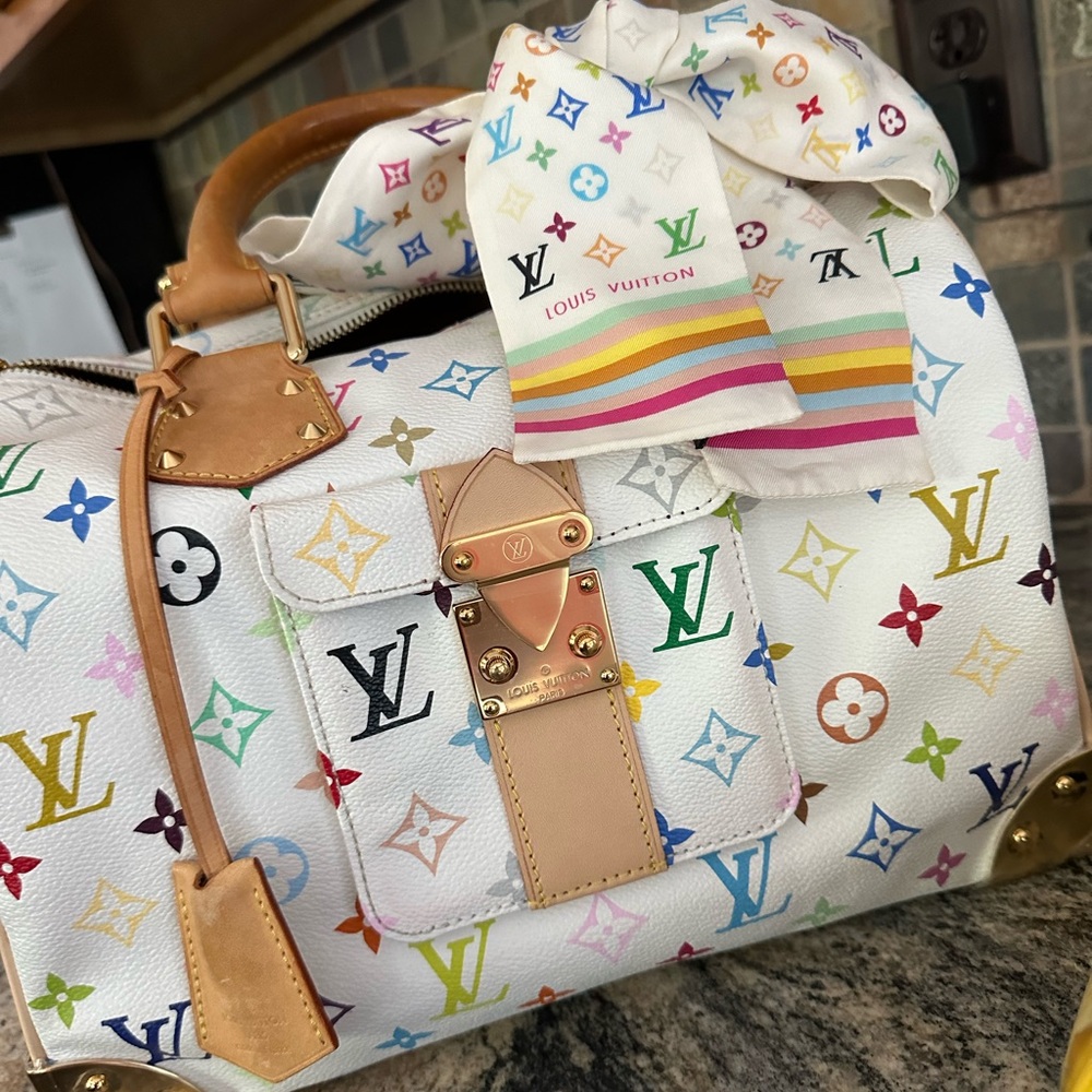 Louis Vuitton Multicolor Speedy🦄